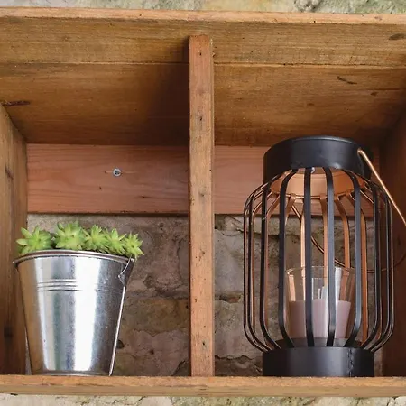 Pet Friendly In בית נופש *